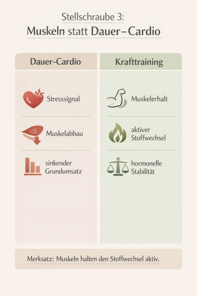Stellschraube 3: Muskeln