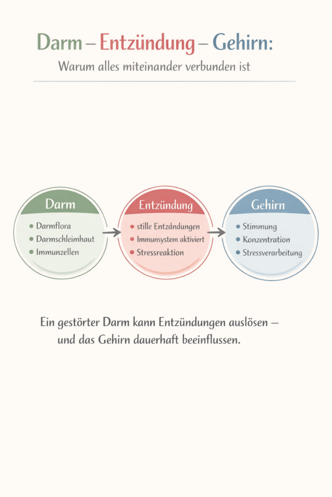 Mechanismus Darm - Entzündung - Gehirn