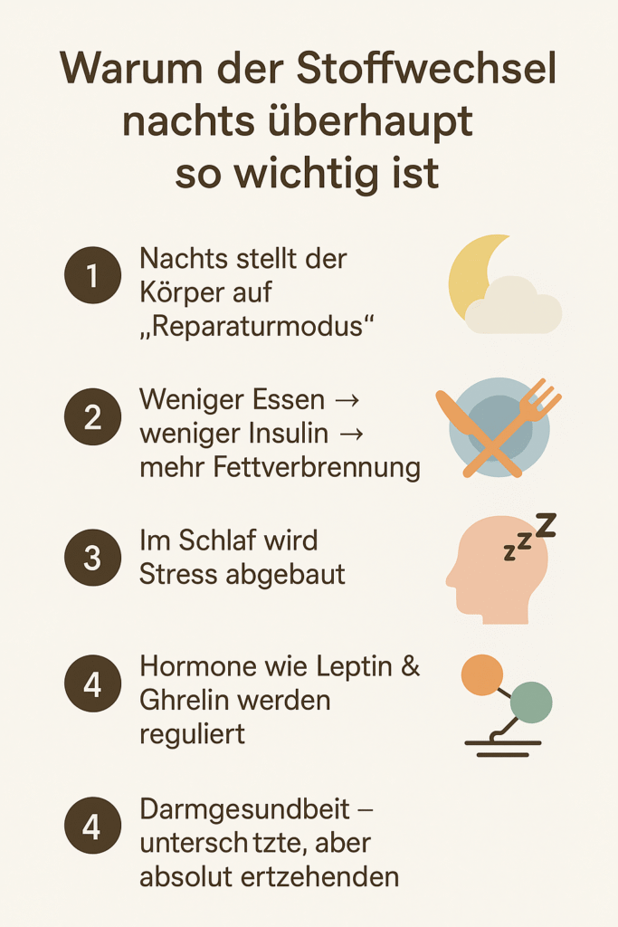 Übersicht warum der Stoffwechsel nachts so wichtig ist