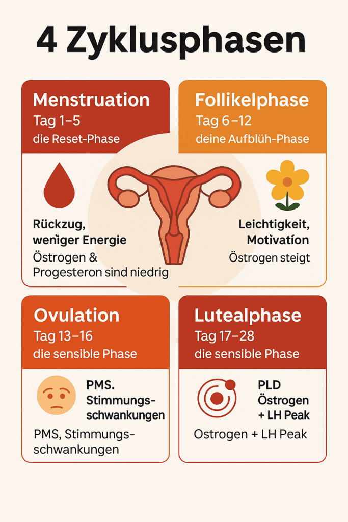 Die 4 Zyklusphasen der Frau