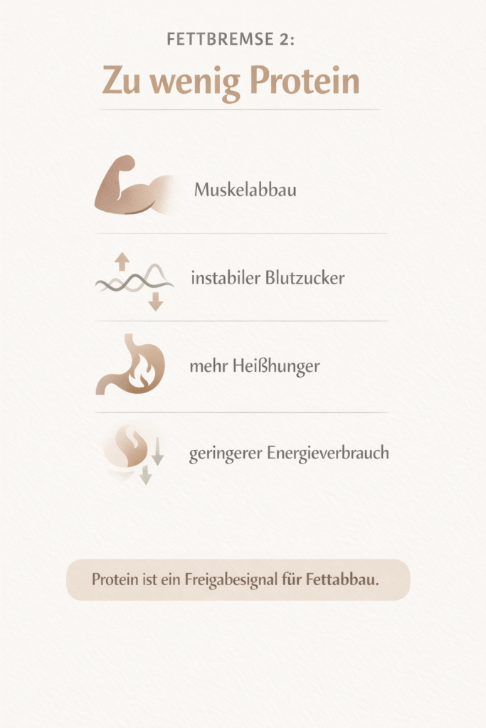 Fettbremse 2: zu wenig Protein