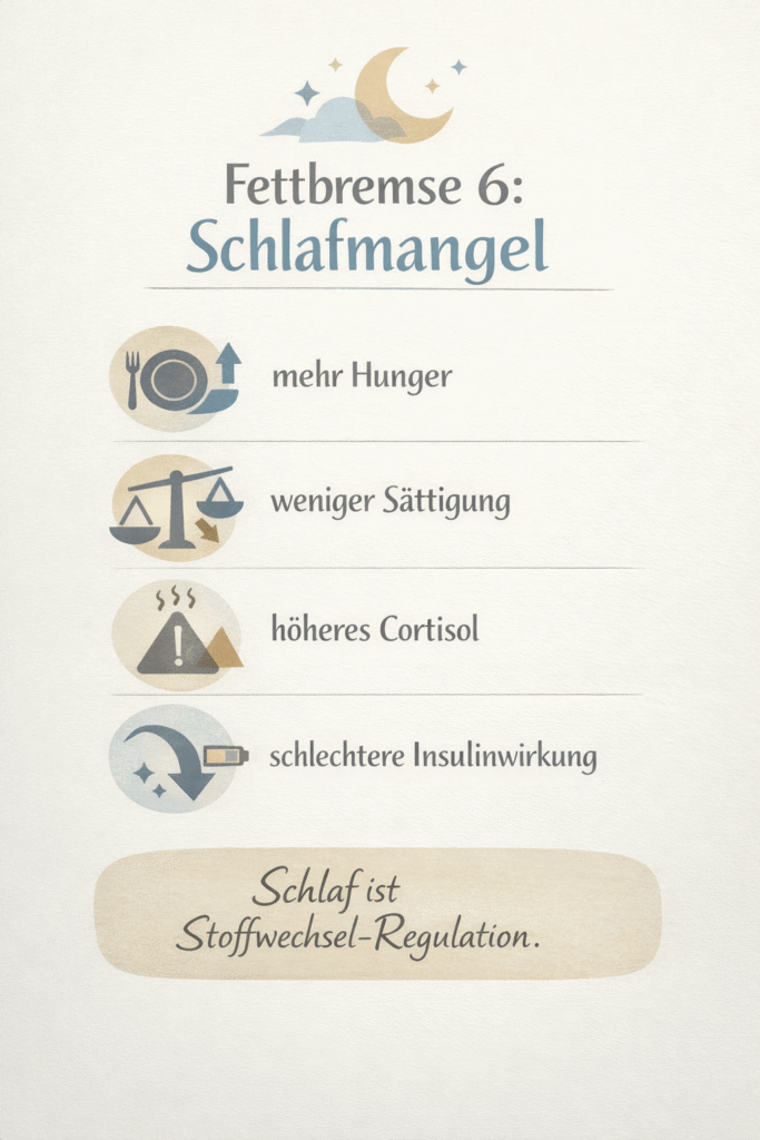 Fettbremse 6: Schlafmangel