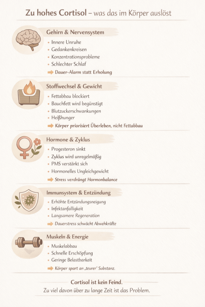 Übersicht: Welche Auswirkungen hat zu hohes Cortisol