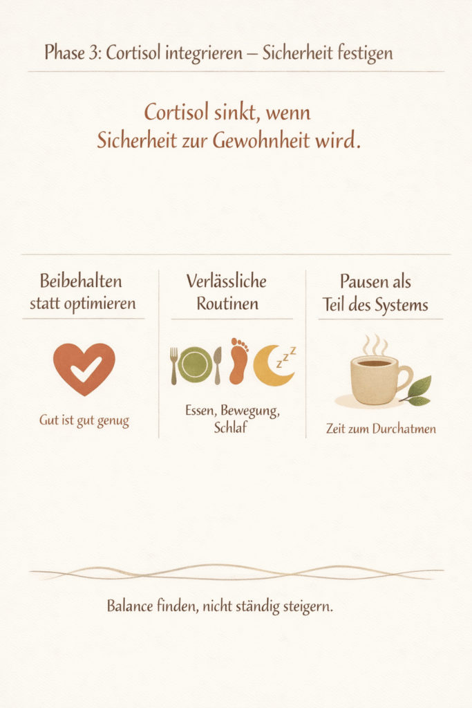 Phase 3 Cortisol Detox: Integrieren