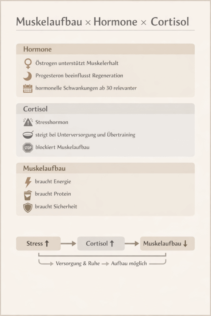Muskelaufbau x Hormone  X Cortisol