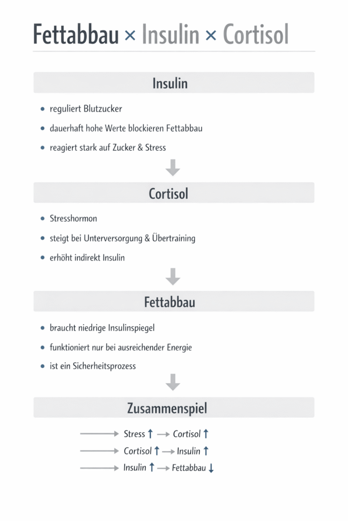 Kreislauf Fettabbau x Insulin x Cortisol