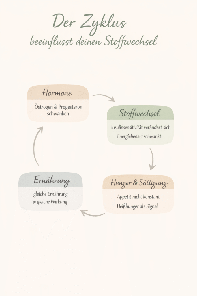Wie der Zyklus den Stoffwechsel beeinflusst