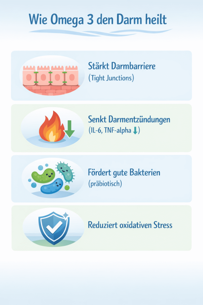 warum omega 3 dem darm hilft