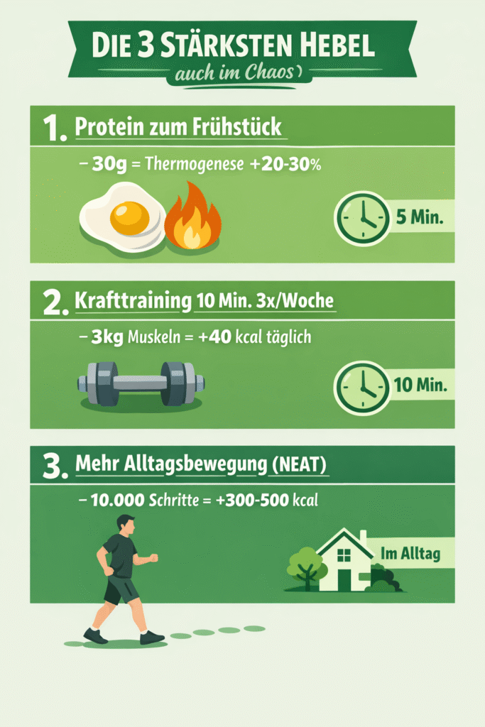 Die 3 stärksten Hebel für einen aktiven Stoffwechsel