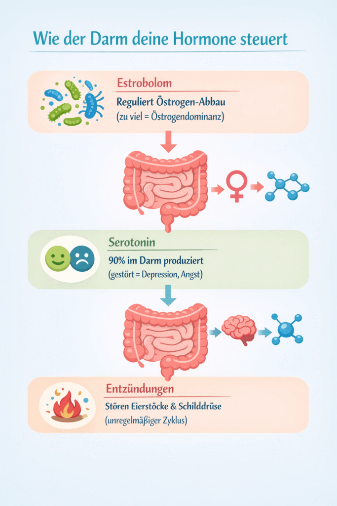 Wie der Darm die Hormone steuert