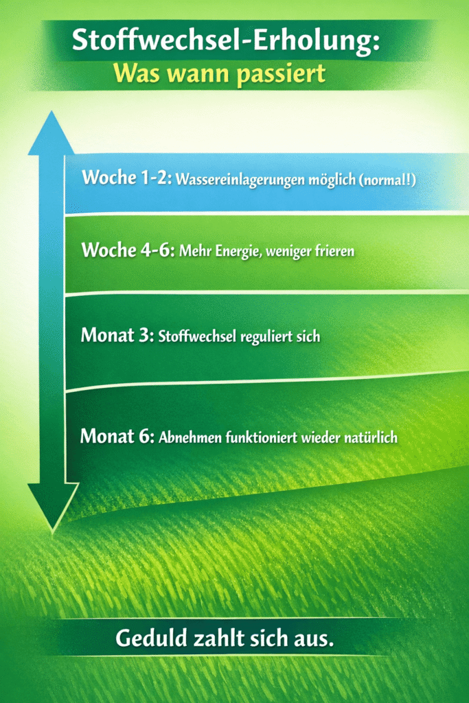 Stoffwechselerholung