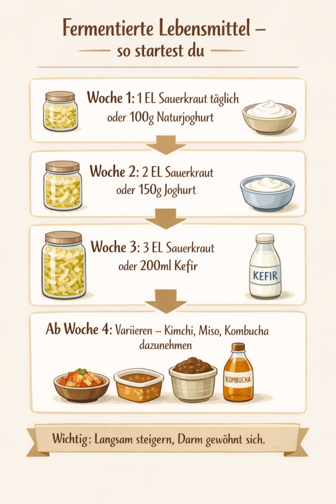So startest du mit fermentierten Lebensmitteln