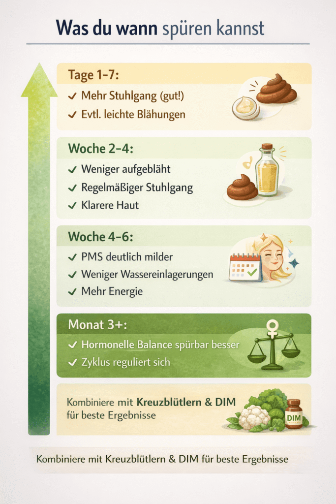 Verbesserung durch Karottensalat - Zeitverlauf