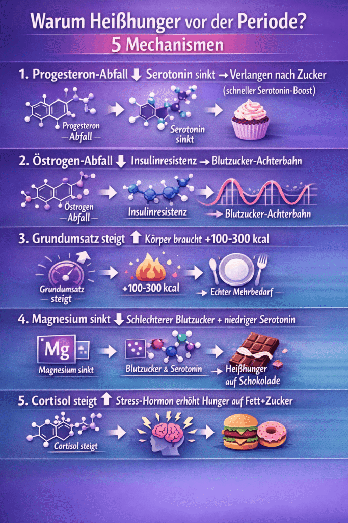 5 Mechanismen - Heißhunger vor Periode