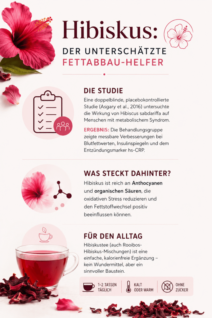 Infografik zu Hibiskustee